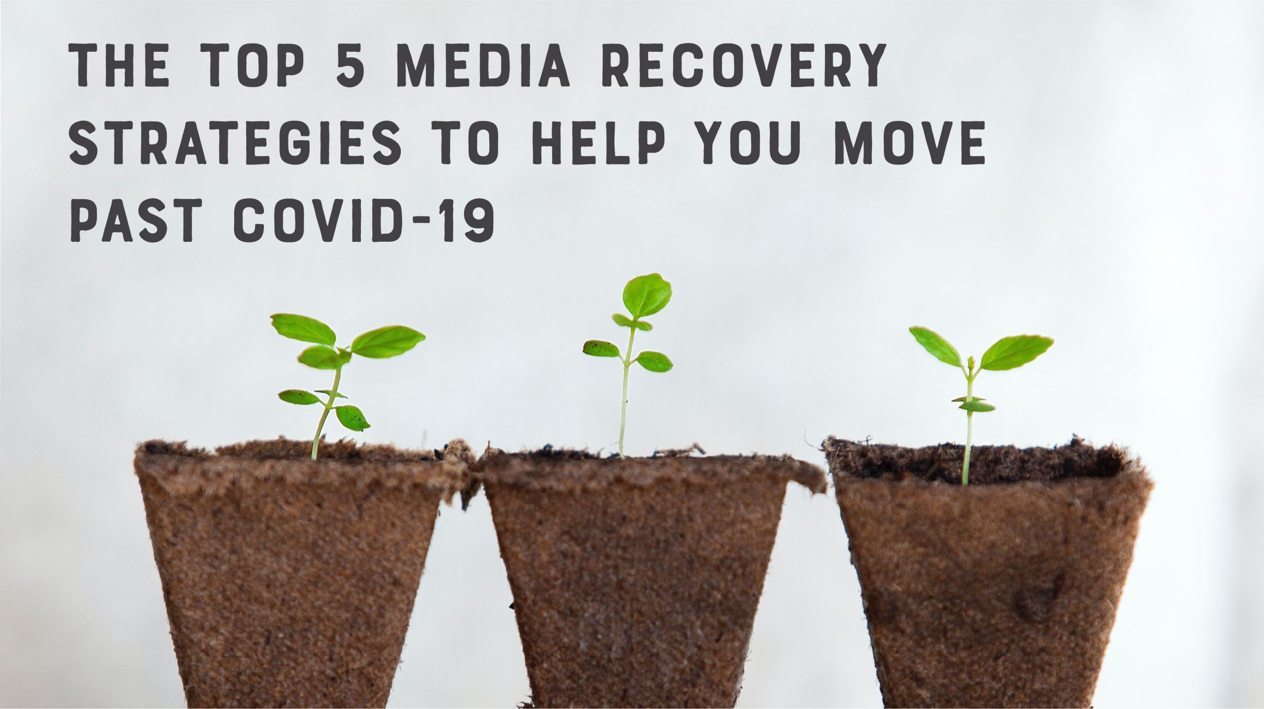 media recovery strategies