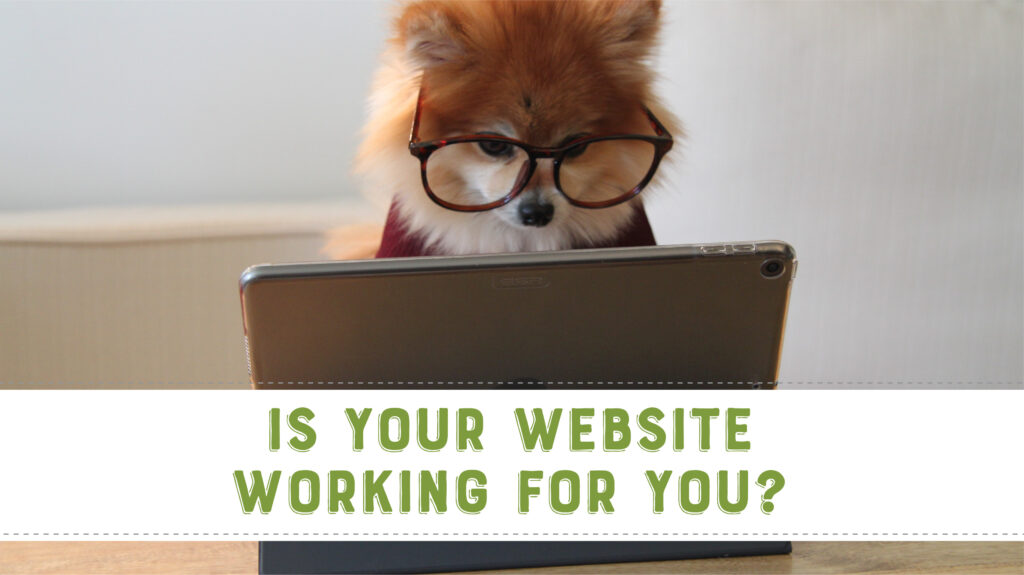 Is your website working for you?