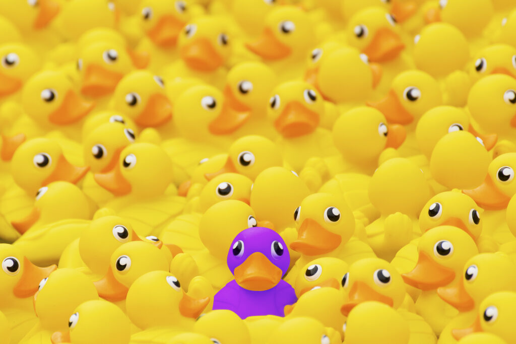 purple rubber duck stands out from the crowd